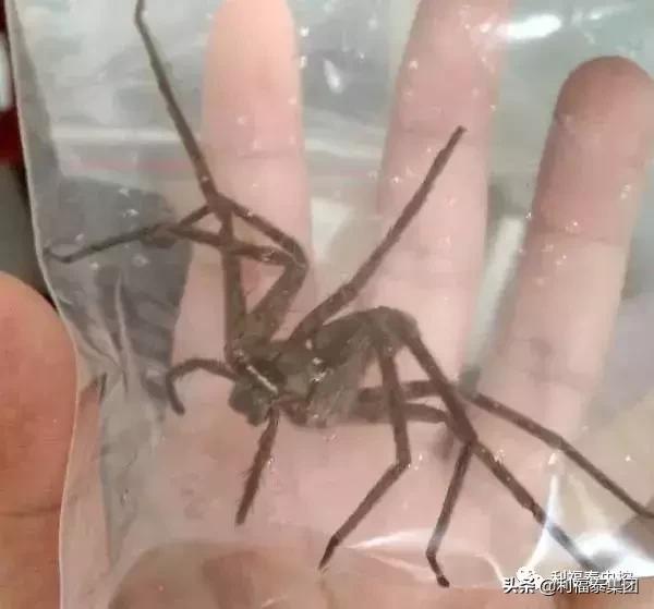 地方新闻 第34页