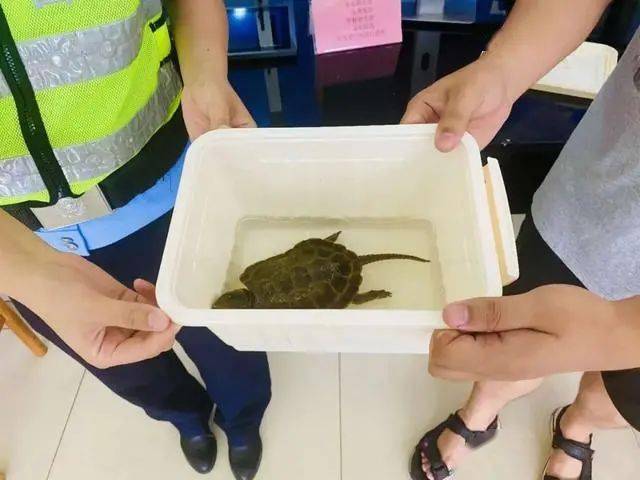 地方新闻 第25页