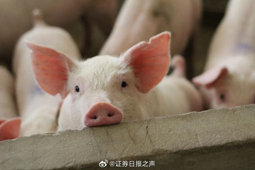 娱乐生活 第19页